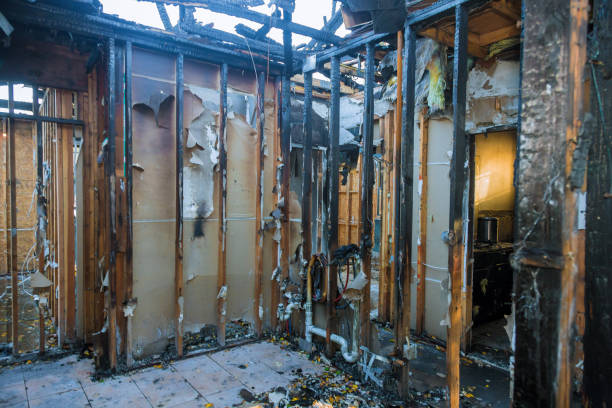 Professional Soot Cleanup technician working in Grandy, MN